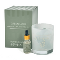 Green lush Geur kristal met 15ml essentiële olie